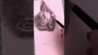 Drawing fur has always challenged me  #furdrawing #drawfur #catdrawing #pencildrawing