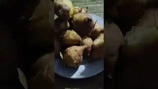 camote Cebu food