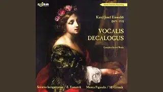 Einwaldt: Vocalis Decalogus - Irae truces barbarorum