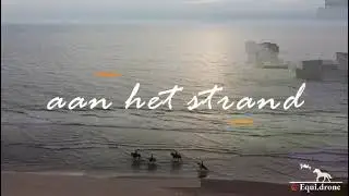 Equi.drone, videografie voor de paardensector 🏇🎥🎞️