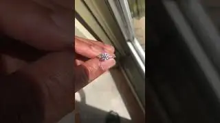 Обручальное кольцо True Hearts Diamond при разном освещении