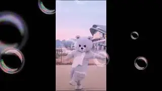 CUTE TEDDY BEAR DANCE... WHATSAPP STATUS