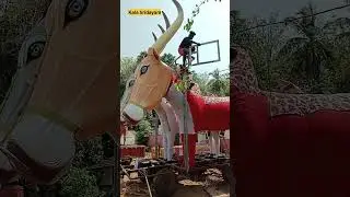 ന്നാ മ്മക്ക് കാളയെ  ഒന്ന് സെറ്റ് ചെയ്തു നോക്കിയാലോ #kalavela #pooram #valluvanadan #tample #karala