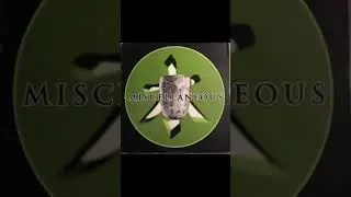 Tranquil Elephantizer - Lowdown - Language Records
