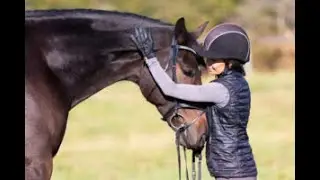 Impression | 2014 Trakehner Mare | January 2026