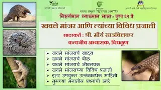 खवले मांजर आणि त्यांच्या विविध प्रजाती | Pangolins - Types, Life Cycle, Food, interesting facts