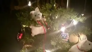 Christmas Line Dance bei den Green Valley Dancer