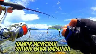 Gacor bait‼️savior when almost broke - ultralight casting