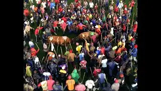 Intense Bullfighting Battle: Shikhuma vs. Ikwale | Epic 20-Minute Showdown with Surprising Victory!