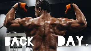 How to get maximum back gains without spending hours in the gym