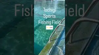 Japanese Pool Trout Fishing【tochigi sports fishing field】【iJetLink】