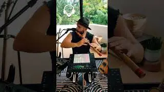 &iexcl;Desde Tulum! 🌴🎶  Bansuri + Push 3