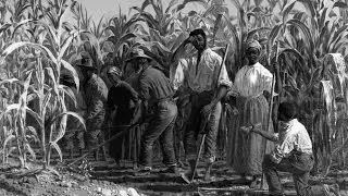 Slavery and the Three-Fifths Compromise, by Professor John Kaminski