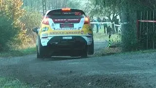 49 Rajd Dolnośląski 2015 | G&oacute;rny / Cieślar | Ford Fiesta R2 [MotoRecords.pl]