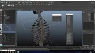 Гайд по ригу спины в Maya с помощью IK Spline Handle Tool