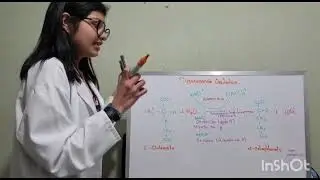 Desaminación Oxidativa