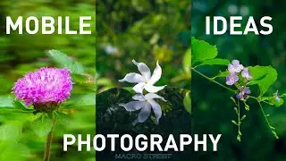 Top 3 Mobile Photography Ideas | Mobile Photography | MACRO STREET