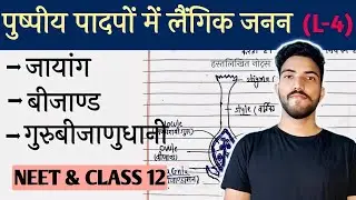 Gynoecium and Ovule Structure | Class 12 Biology NEET 2026 | Sexual Reproduction in Angiosperms
