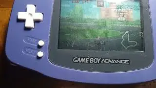MKSC Peach Circuit SC flap 11