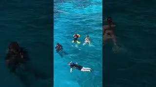 Time to swim. Egypt. Red Sea. Sharm el Sheikh