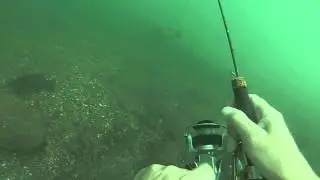 Upper niagara river underwater fishing wicked bass hit