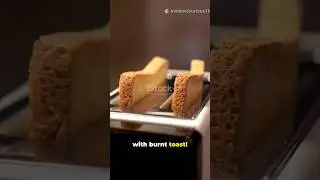 Toaster's Burnt History! 🤯 #shorts