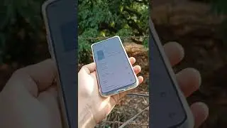 [The Lab: OnePlus 8T] Display: Bright enough outdoors, with great viewing angles!