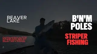 I only use artificial lures to catch stripers on Beaver Lake