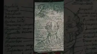 The Sculls Pencil✏️drawing Art😻🎭 Artist ShortsReels ViralVideo TrendingSong Cartoon network Painting