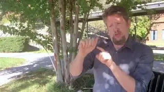 Deafhood Foundation on Activism