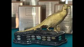 Golden pheasant 2025