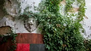 Mystisch romantischer Rittergarten - Original Rittermahl - Das original Ritteressen seit 1984!