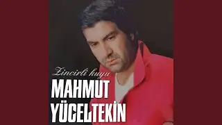 Hiç Mi Bana Acımadın