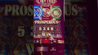 Full screen of fish on Coin Trio! #casino #vlogs #shorts