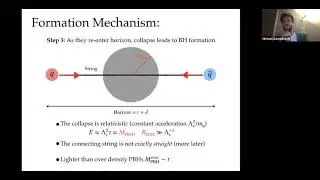Michael Zantedeschi | Primordial Black Holes from Confinement