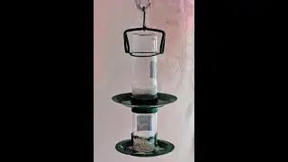 Amijivdaya 2 in 1 Double Decker Pack of Bird Food and Water Feeder