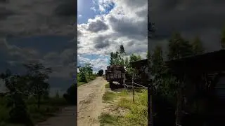#shortvideo #status #reels #subscribe #musamarmalik