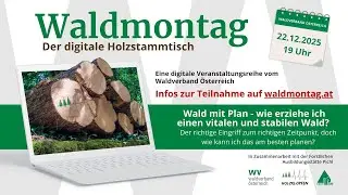 20251222 Wald mit Plan - Aber wie?