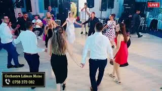 Orchestra Liliana Moise 🎙️🔴Live nuntă corbi mari🎶🎶
