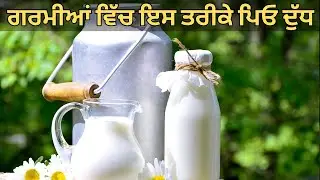 गर्मियों के 40 भयंकर रोगों से बचना है तो इस तरह पीएं दूध