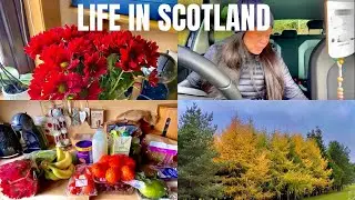 Days in my life in Scotland | Living alone diaries | Grocery shopping | House cleaning | Walking 
