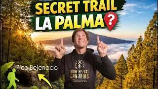 Hidden Hiking Trail in La Palma | Secret Nature Adventure with 2xahixelmundo