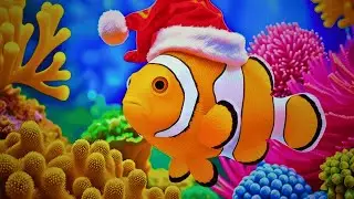 The Best Aquarium 4K Ultra HD 🐠 Stunning Coral Fish & Jellyfish - Relaxing Music for Sleep #10
