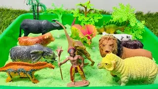 Dinosaur and Animals | T-rex Tiger zebra cow Lion Giraffe Bear Elephant #asmr #dinosaur #satisfying 