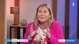 France 3 - Eco-Anxi&eacute;t&eacute;, &eacute;colos anonymes, un atelier ANVCOP21 TOULOUSE