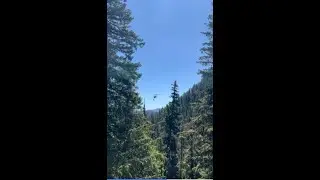 KCSO Air Support makes another life-saving rescue during this busy hiking season.