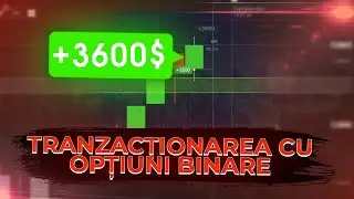 FACE BANI ONLINE 2024 | TRANZACȚIONAREA CU OPȚIUNI BINARE