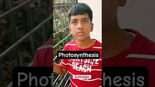 How Do Plants Make Their Own Food? 🌞 Photosynthesis for Kids #ytshorts #youtube #photosynthesis