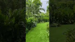 Tropical Bali inspired Landscape Design