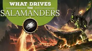 Everything You Need to Know About The Salamander | Ep.51